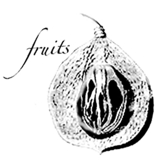 #2338 - Fruit - Nature